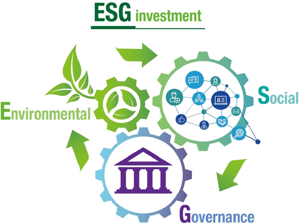 Принципы ESG — основа будущего: КВШП АГУ проводит первую в этом году mock conference