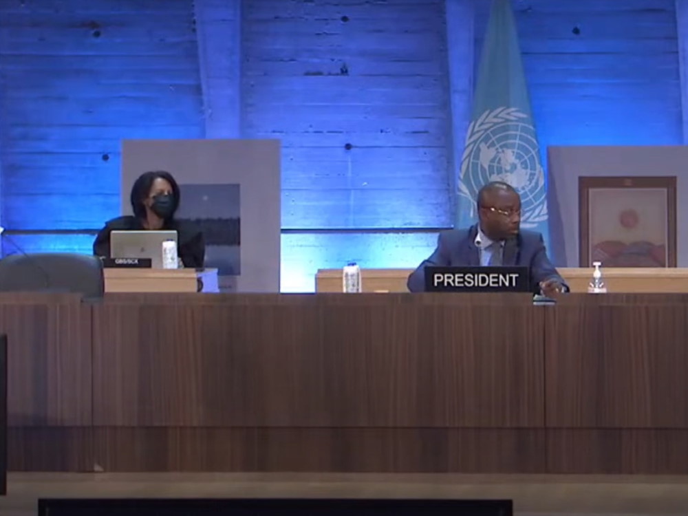 Представители АГУ приняли онлайн-участие в 211-й сессии Исполнительного совета ЮНЕСКО